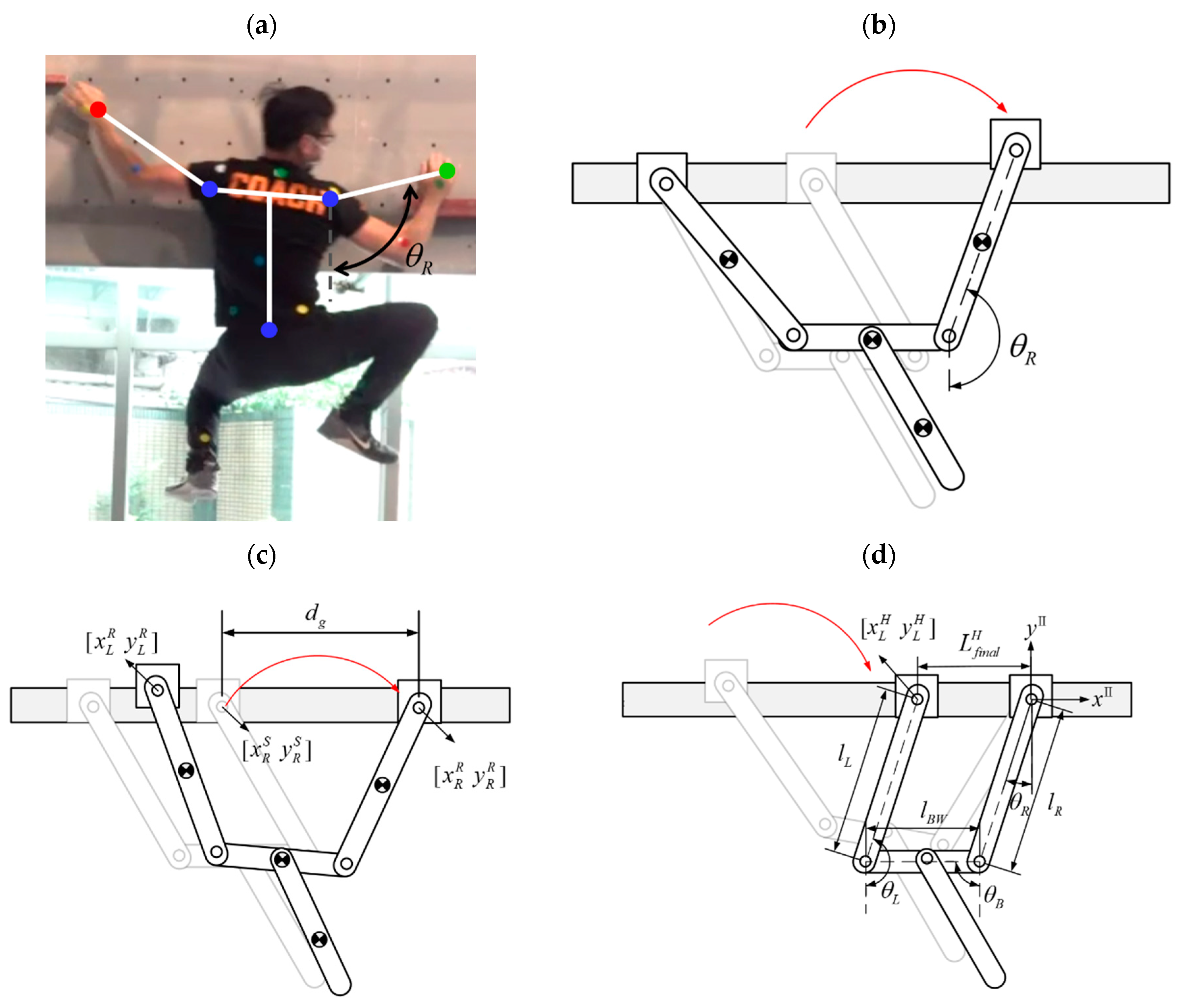 Biomimetics 08 00204 g013