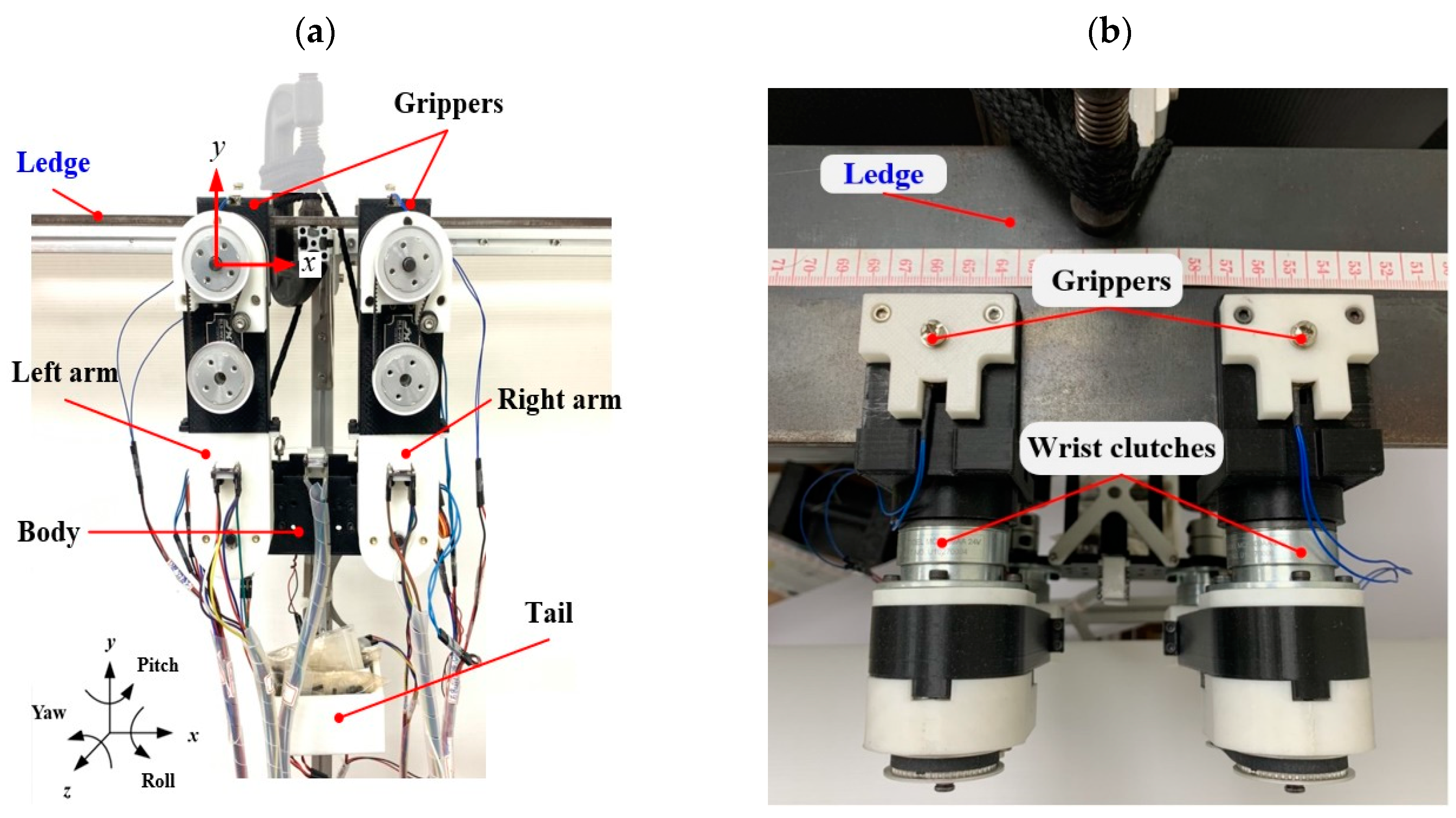 Biomimetics 08 00204 g015