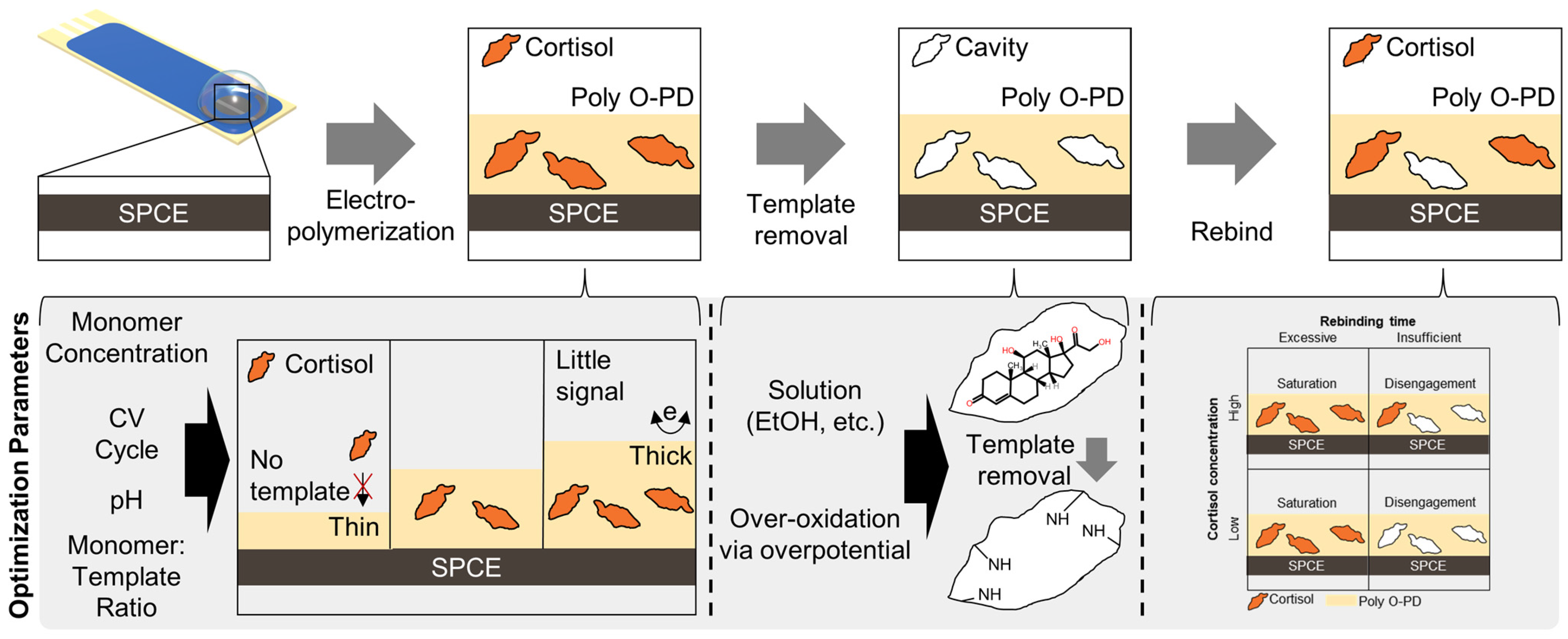 Biomimetics 08 00282 sch001