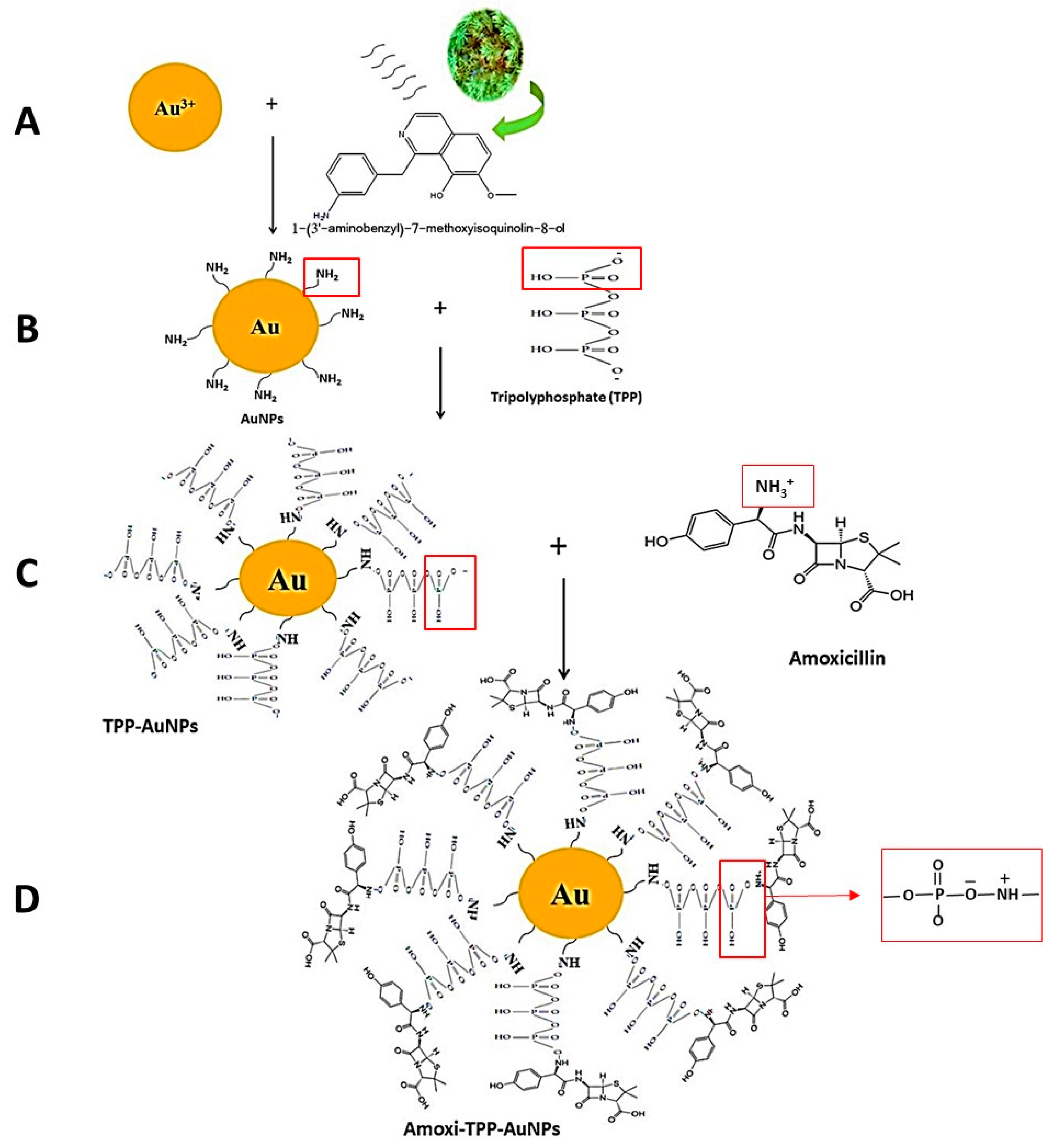 Biomimetics 08 00452 g004