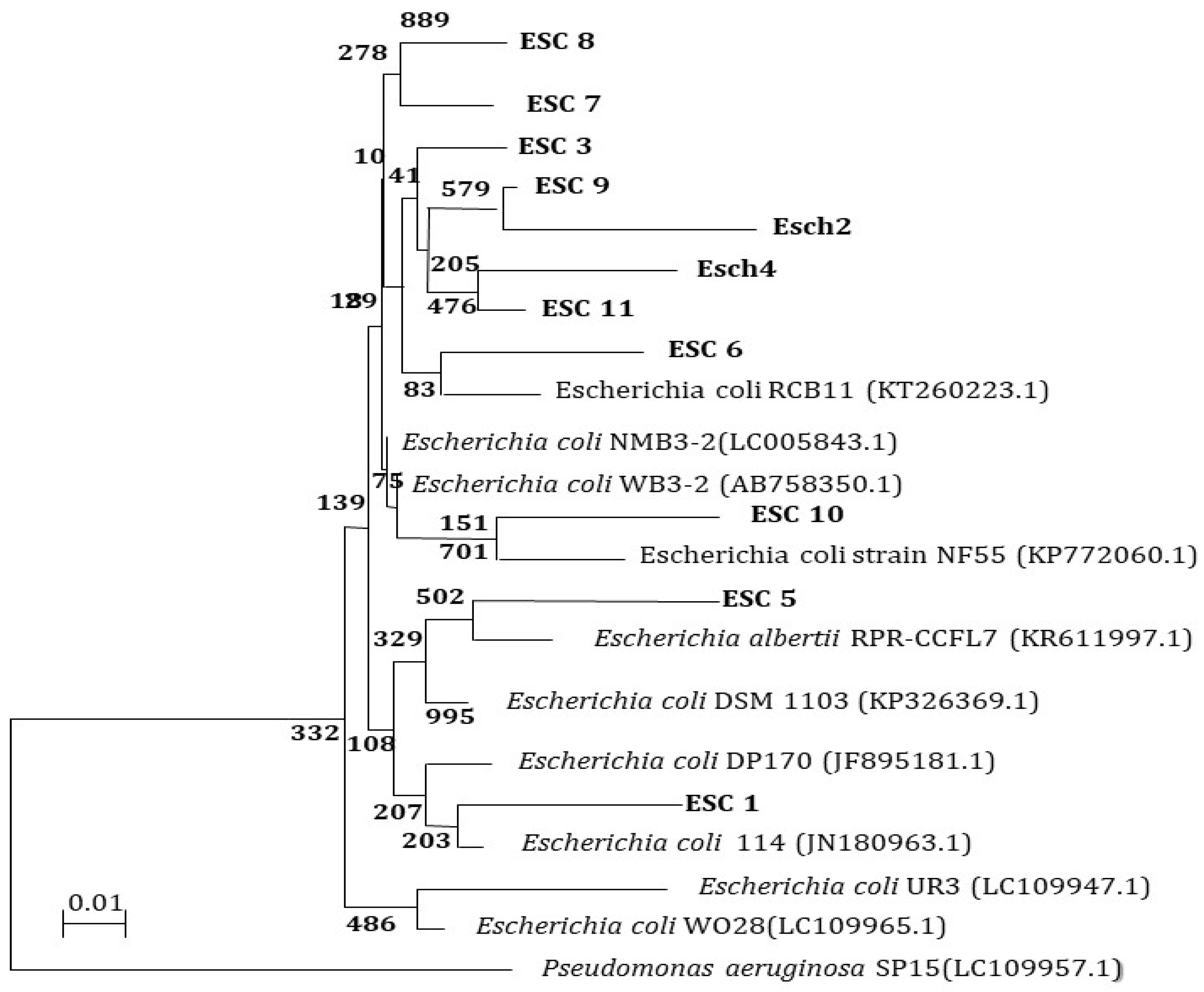Biomimetics 08 00452 g008