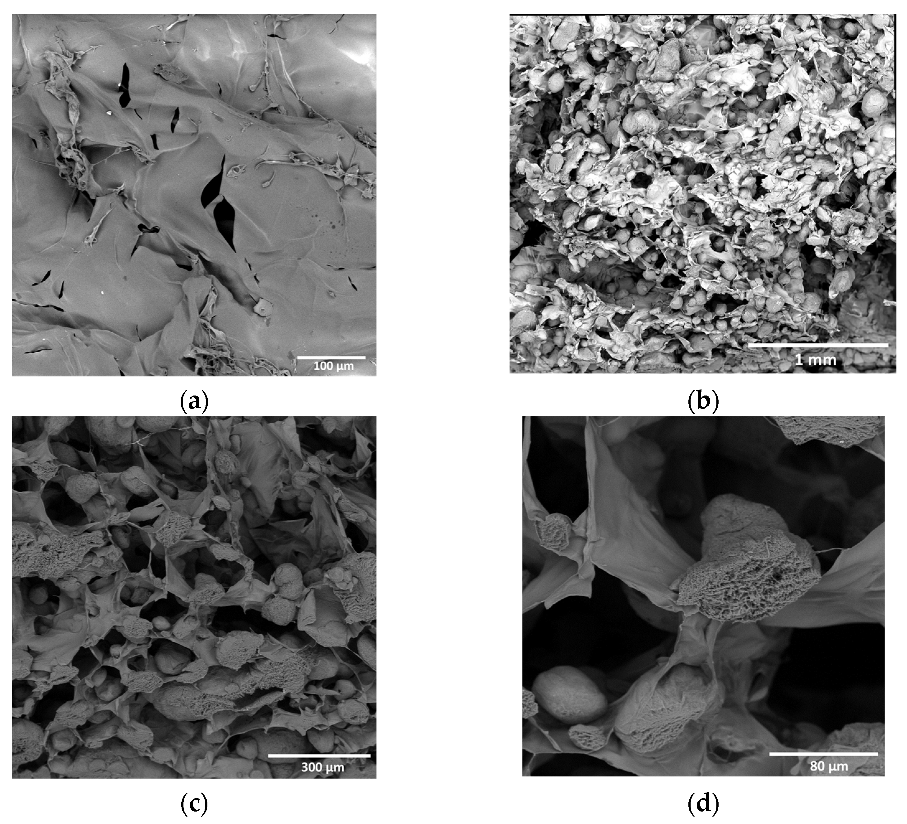 Biomimetics 08 00565 g007