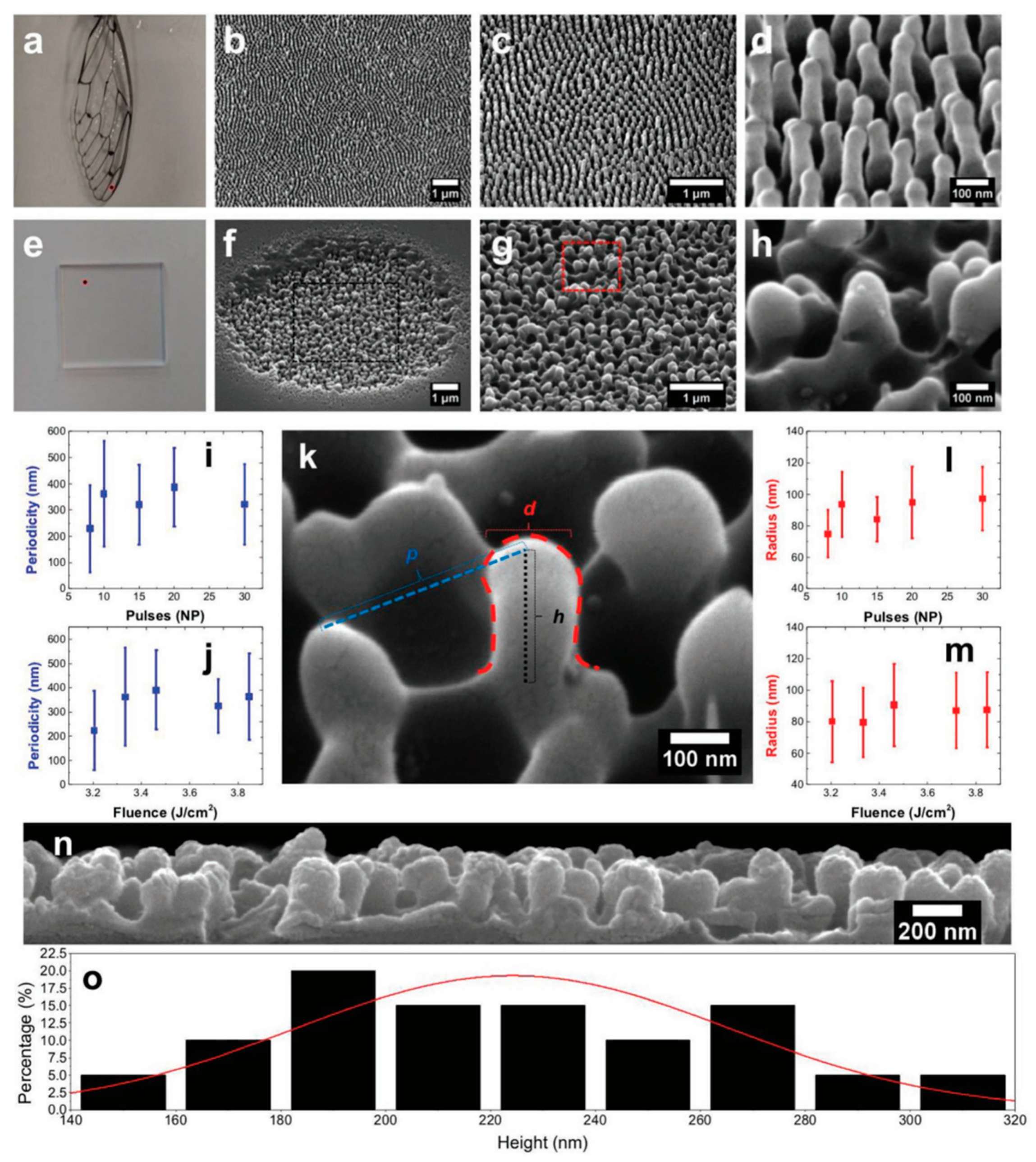Biomimetics 08 00586 g011
