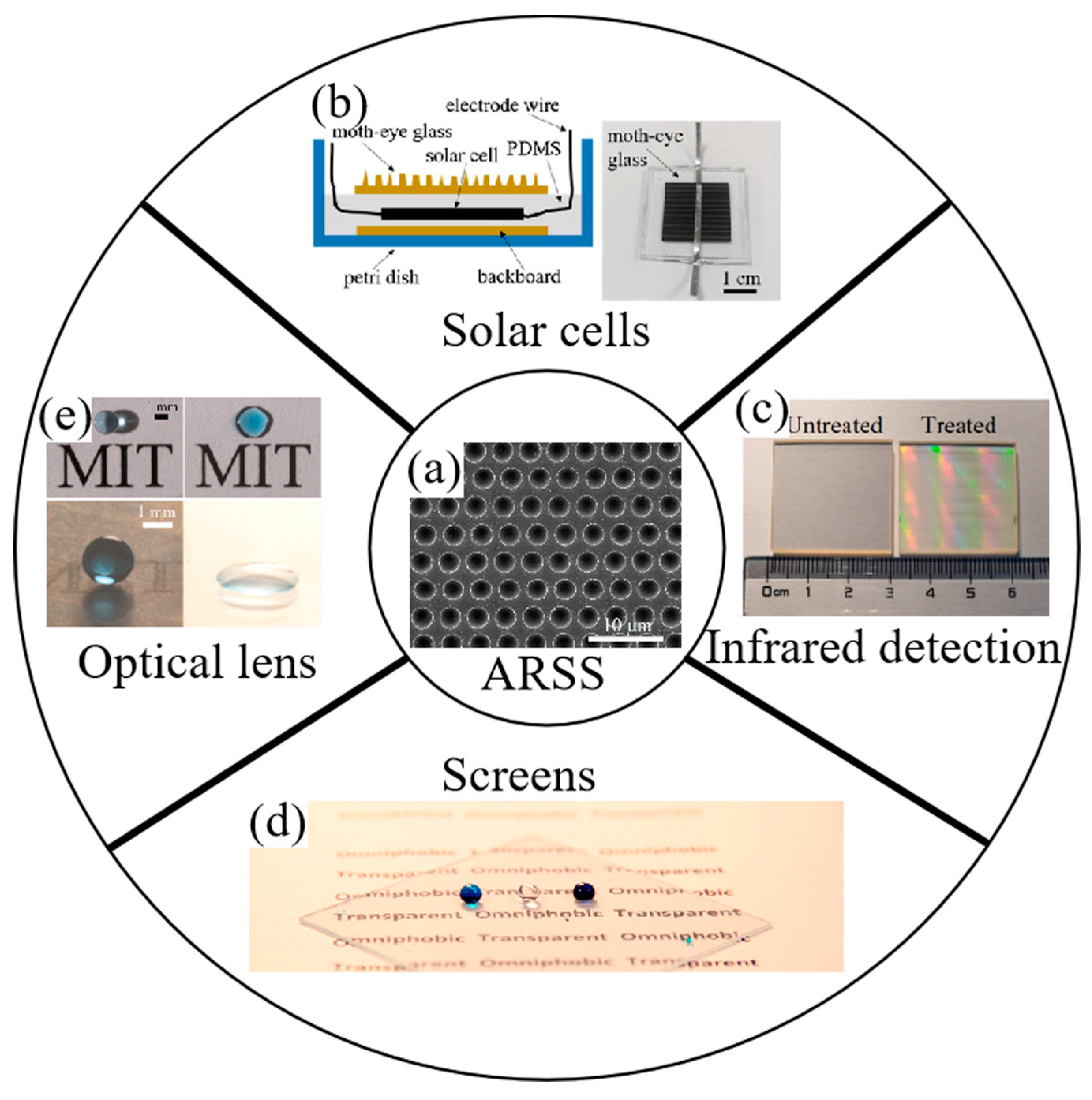 Biomimetics 08 00586 g013