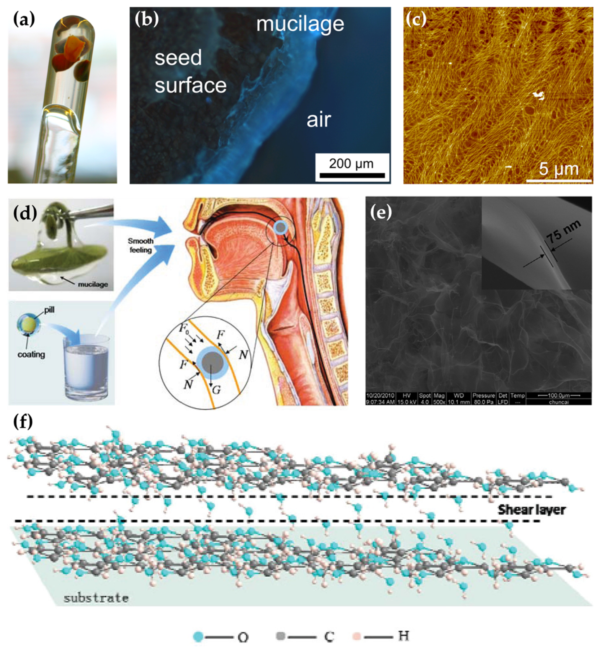 Biomimetics 09 00200 g003