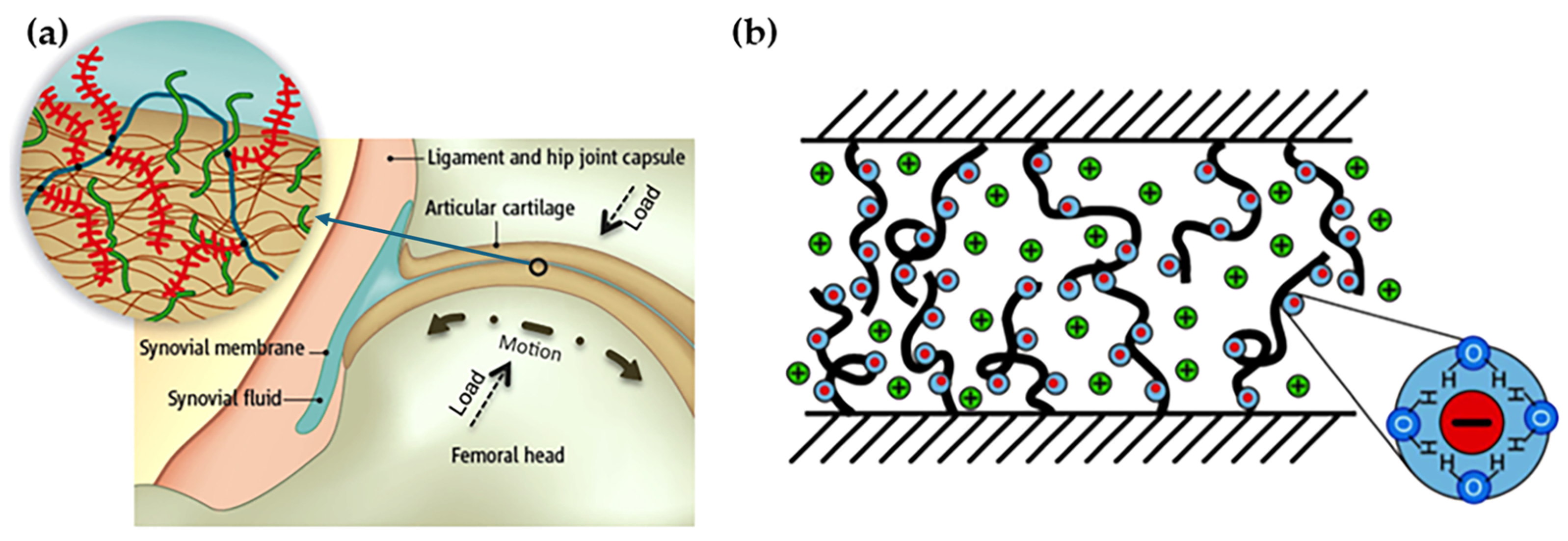 Biomimetics 09 00200 g004