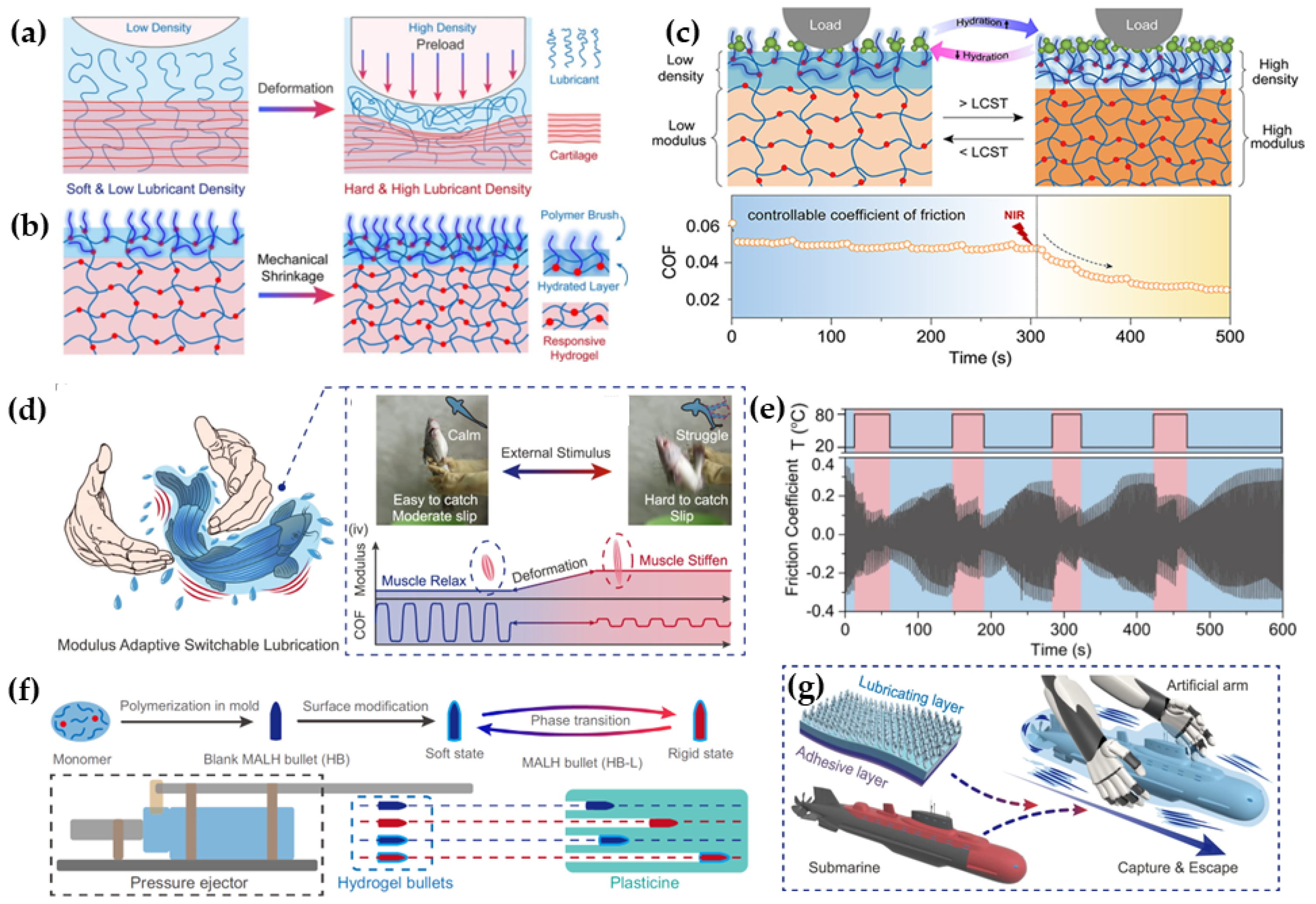 Biomimetics 09 00200 g009