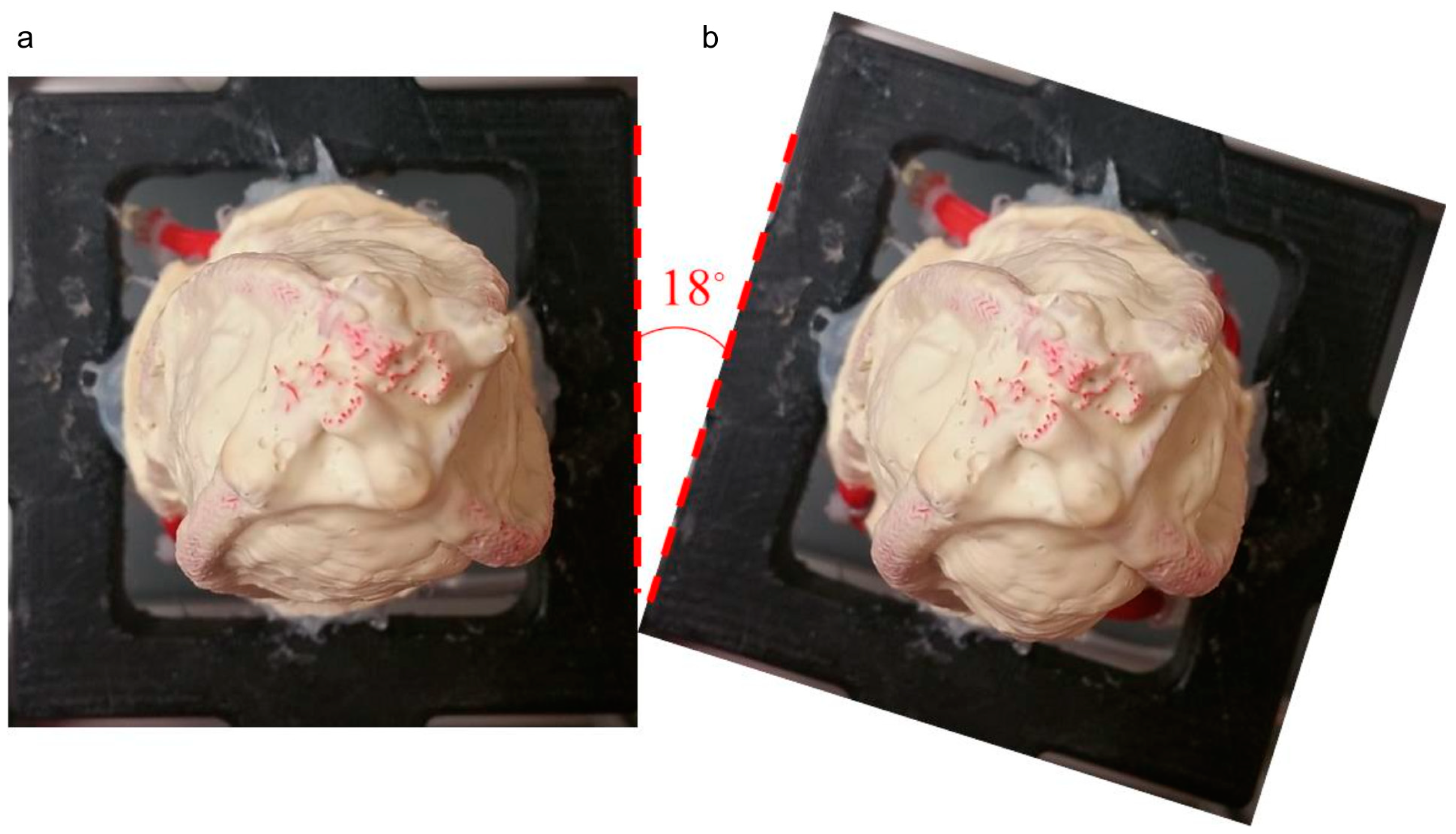 Biomimetics 09 00269 g012