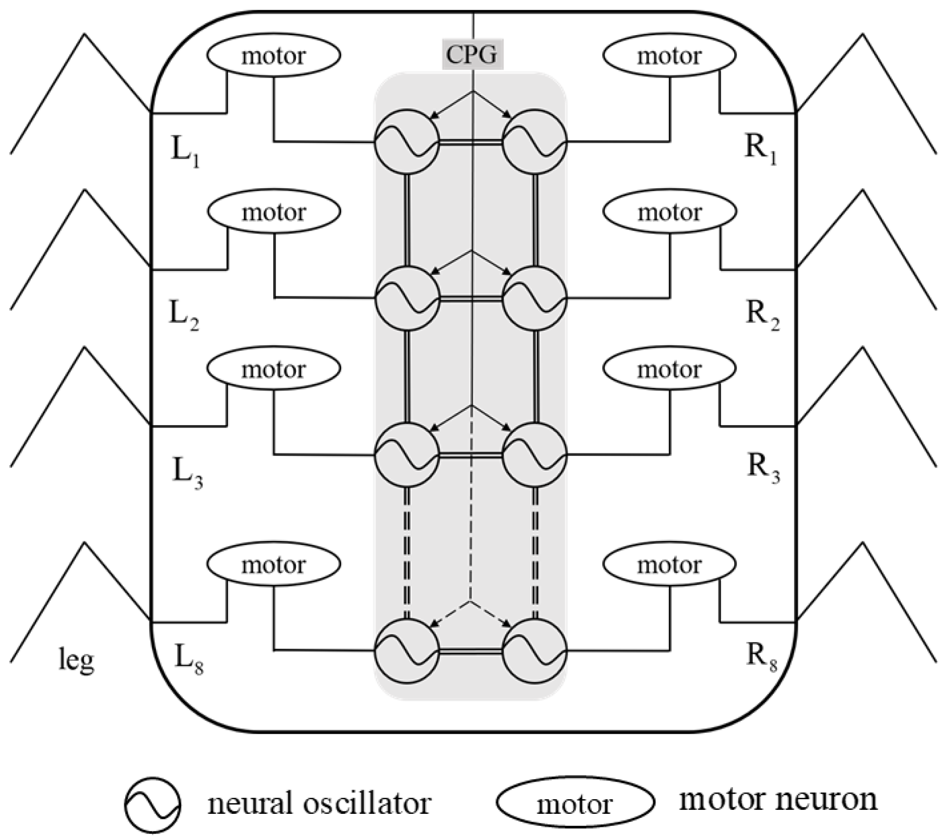 Biomimetics 09 00288 g010