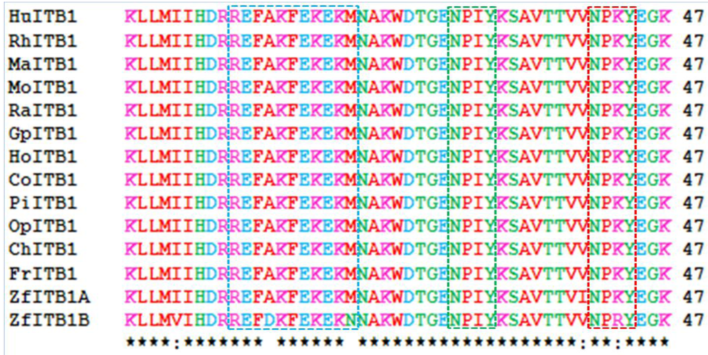 Biomolecules 01 00003f2 1024