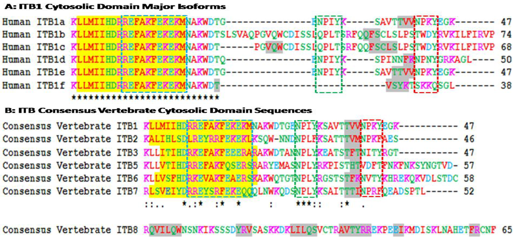 Biomolecules 01 00003f3 1024