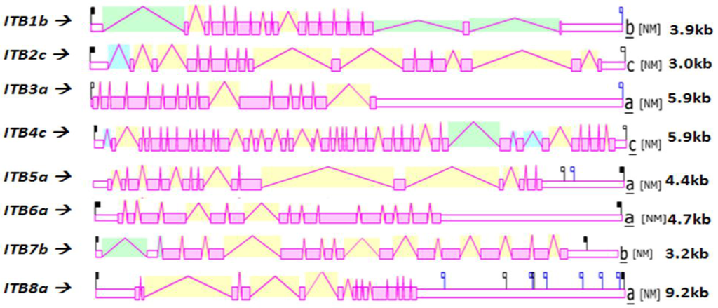 Biomolecules 01 00003f4 1024