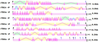 Biomolecules 01 00003f4 200