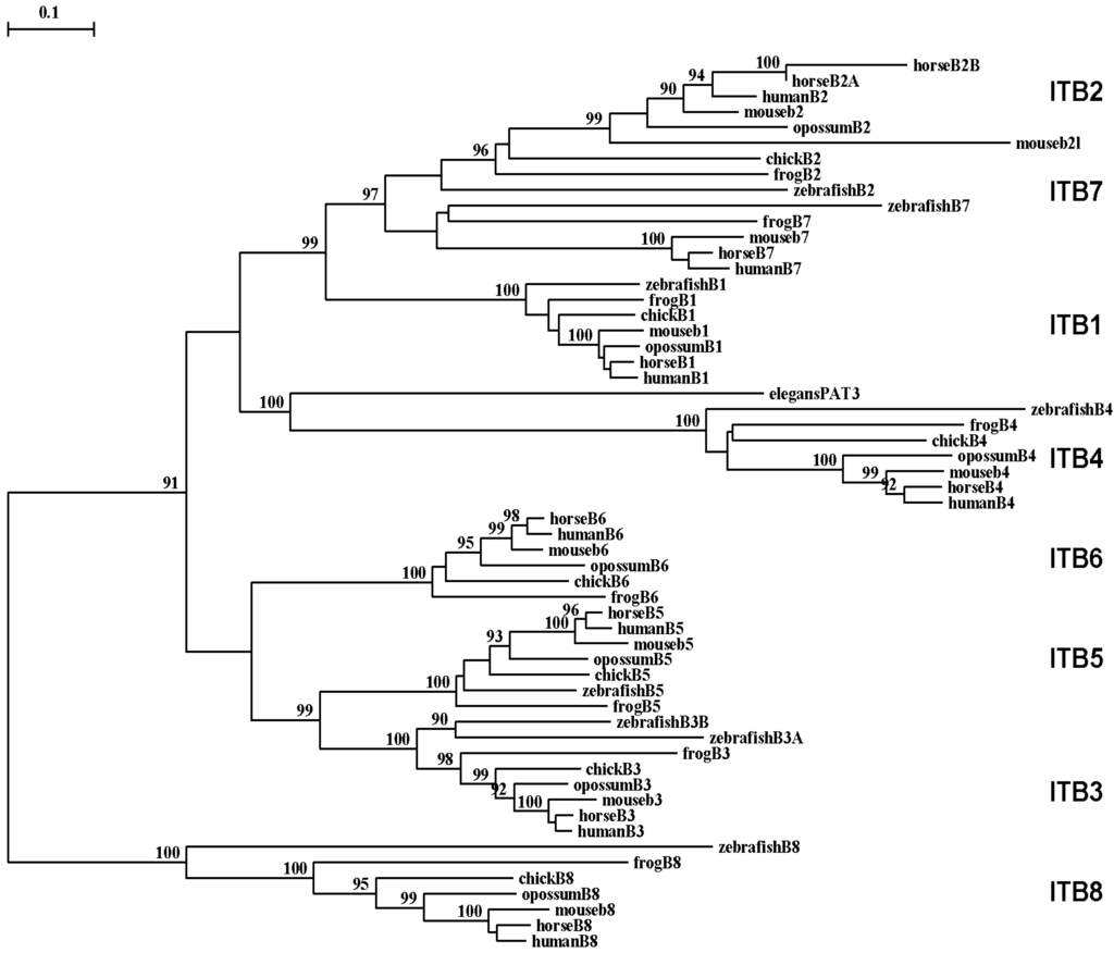 Biomolecules 01 00003f6 1024