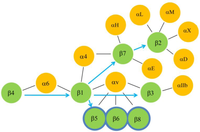 Biomolecules 01 00003f7 200
