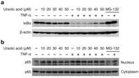 Biomolecules 01 00032f3 200