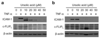 Biomolecules 01 00032f5 200