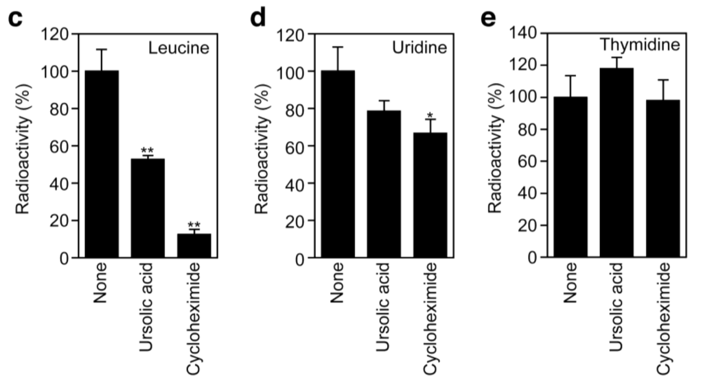 Biomolecules 01 00032f6b 1024