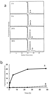 Biomolecules 01 00048f4 200