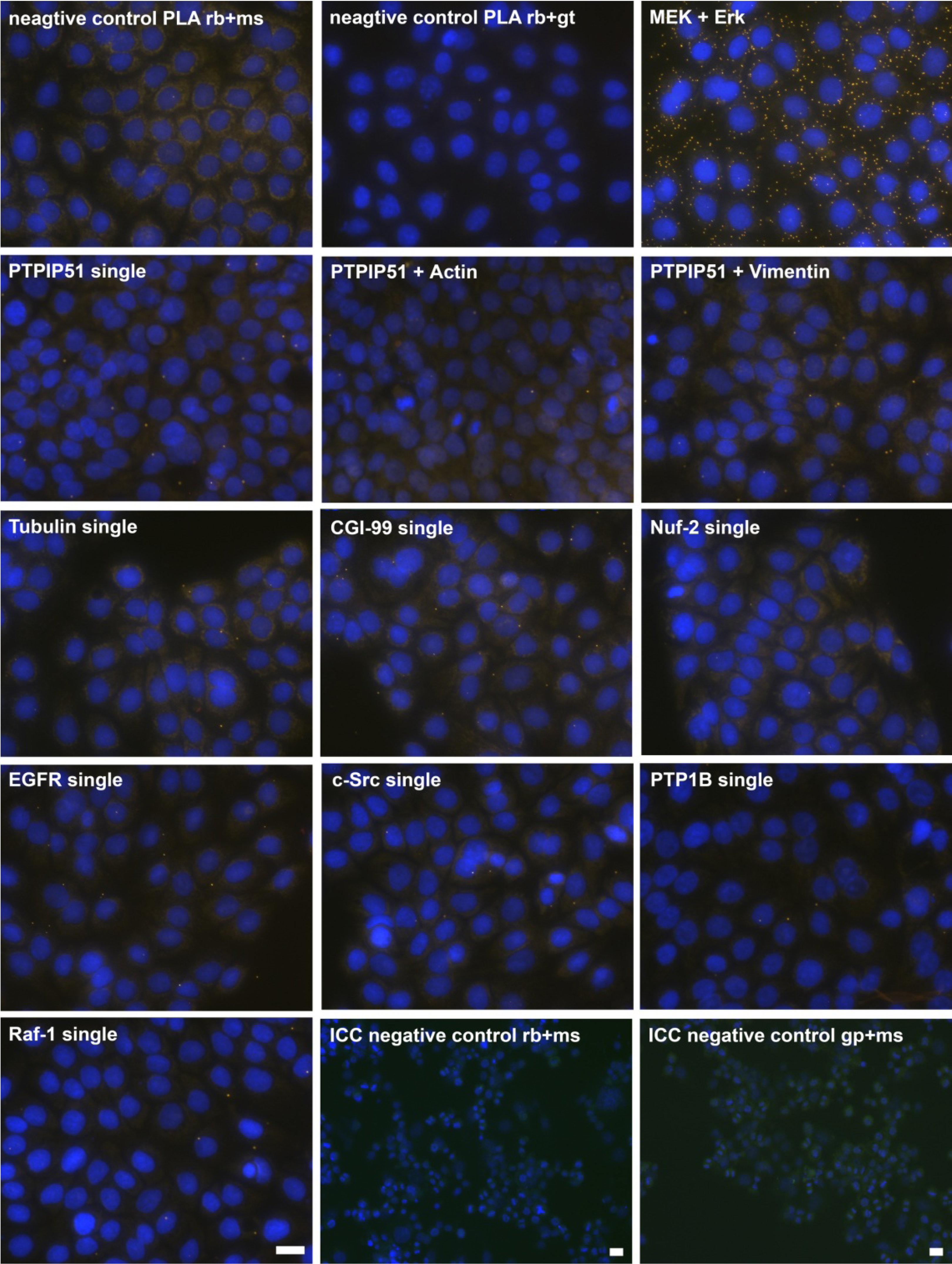 Biomolecules 02 00122 g002