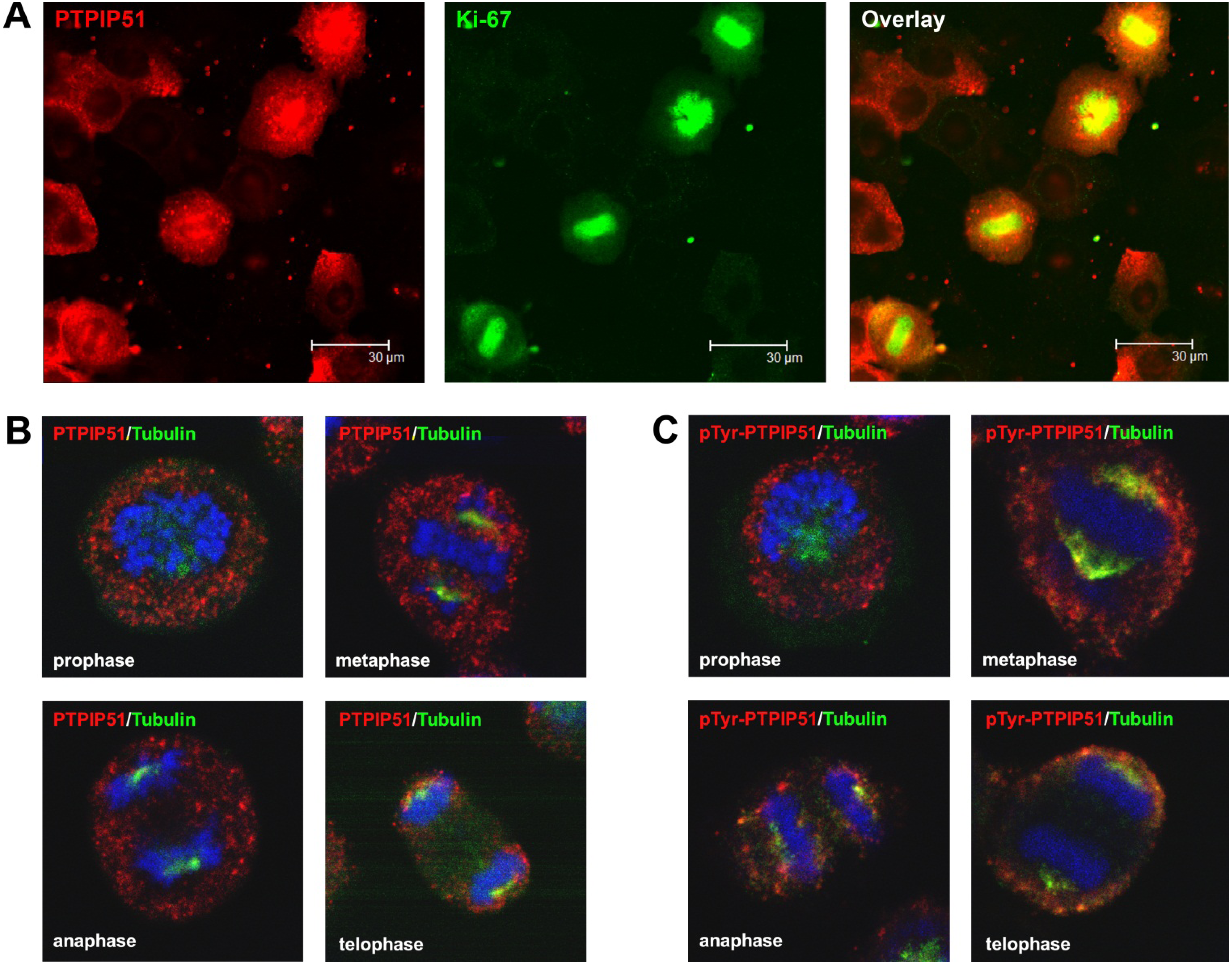 Biomolecules 02 00122 g005