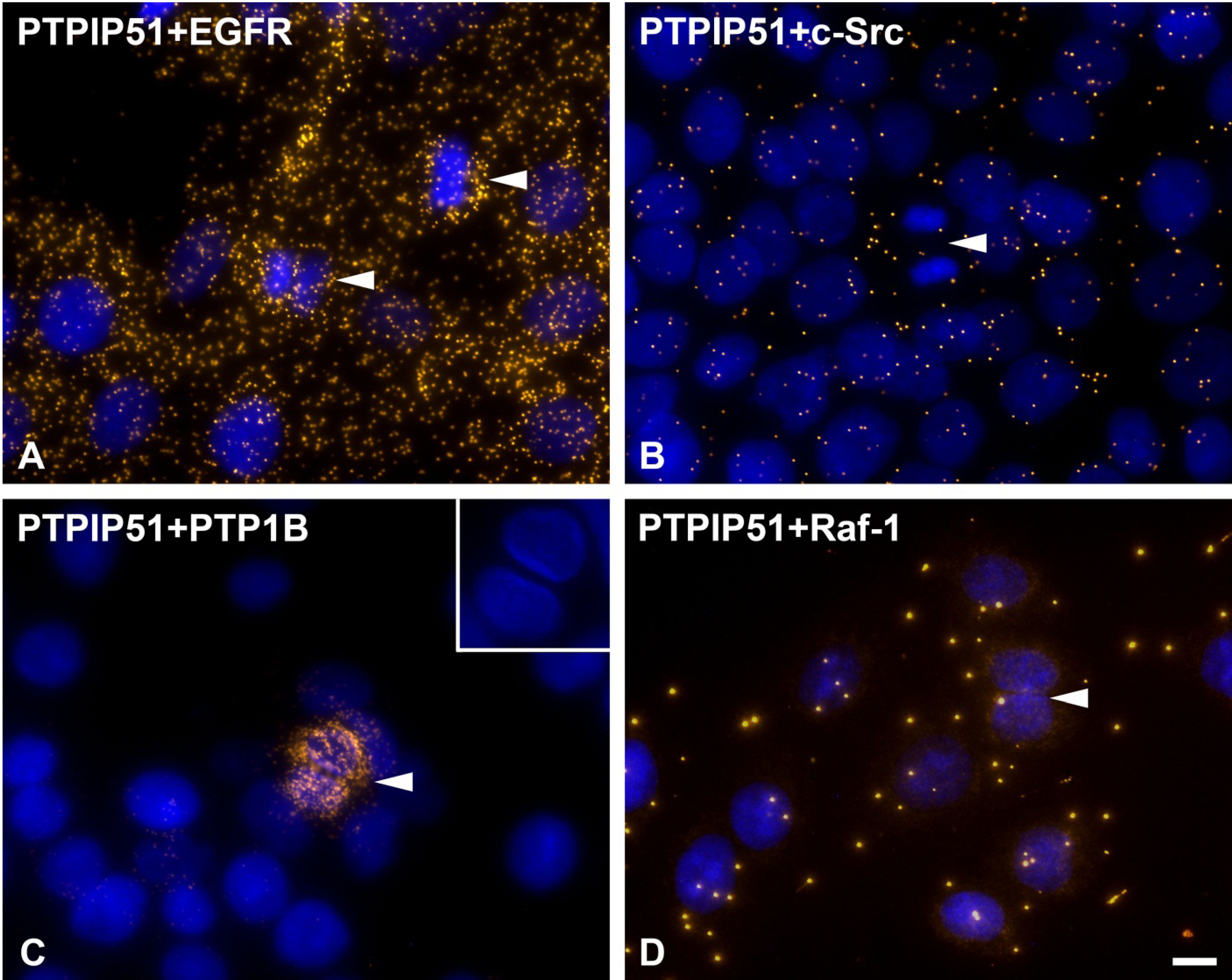Biomolecules 02 00122 g010