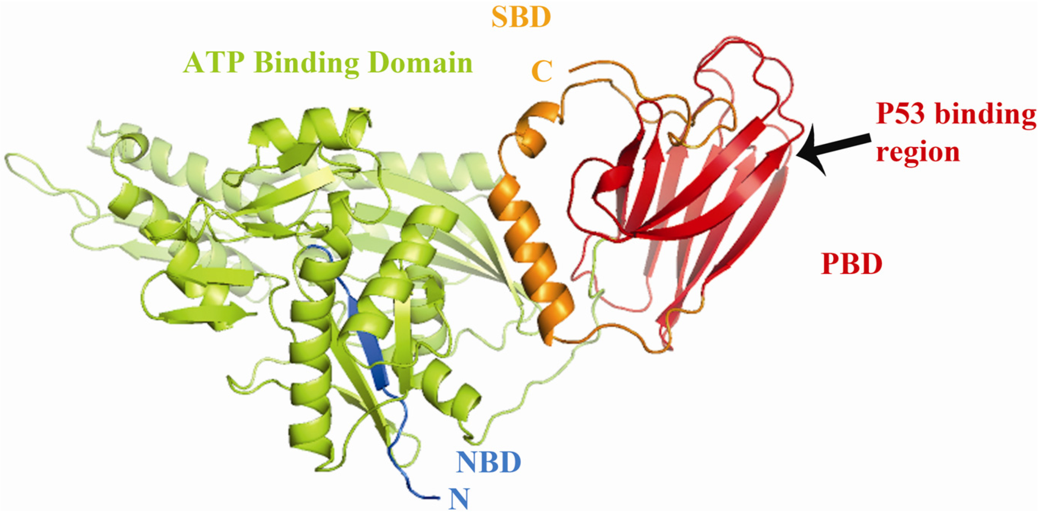 Biomolecules 02 00143 g001