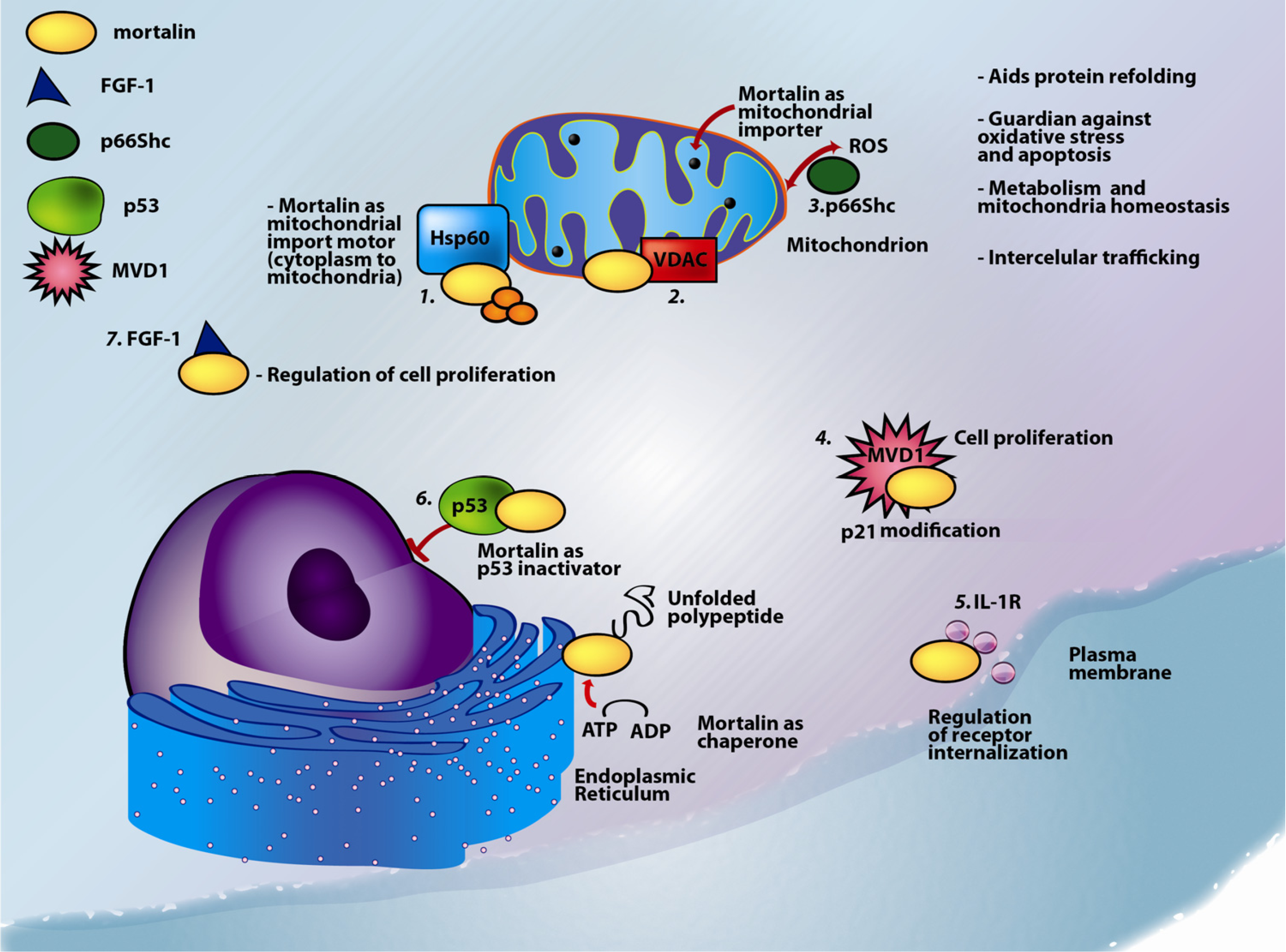 Biomolecules 02 00143 g002