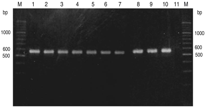 Biomolecules 02 00228 g001