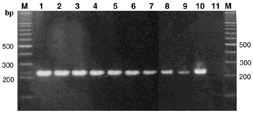 Biomolecules 02 00228 g002