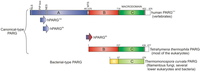 Biomolecules 03 00001 g002 200