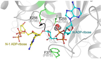 Biomolecules 03 00001 g003 200