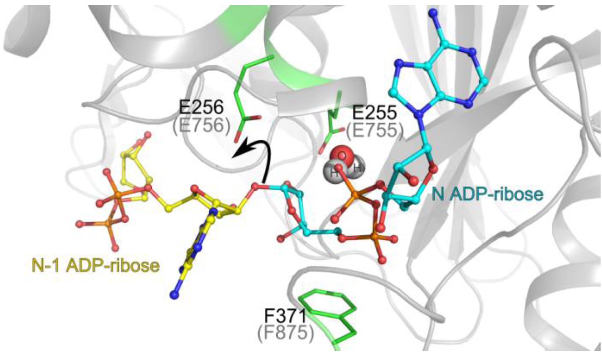 Biomolecules 03 00001 g003