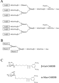 Biomolecules 03 00085 g001 200