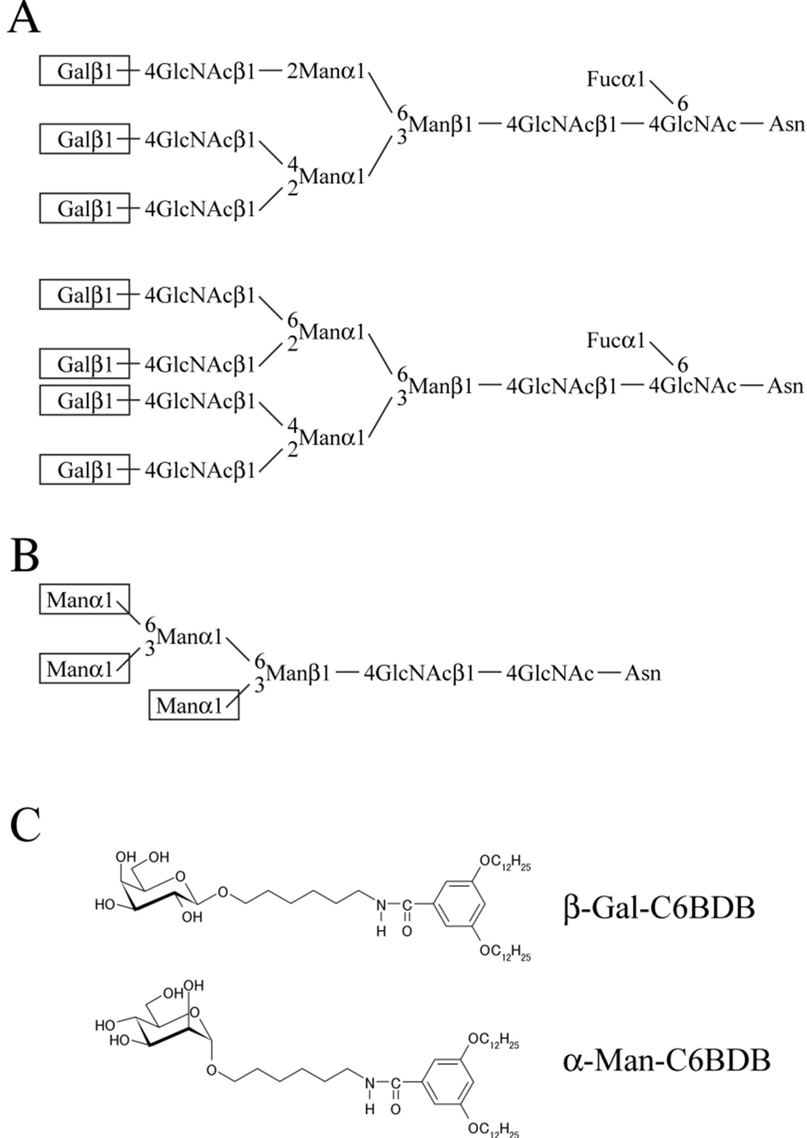 Biomolecules 03 00085 g001