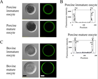 Biomolecules 03 00085 g005 200