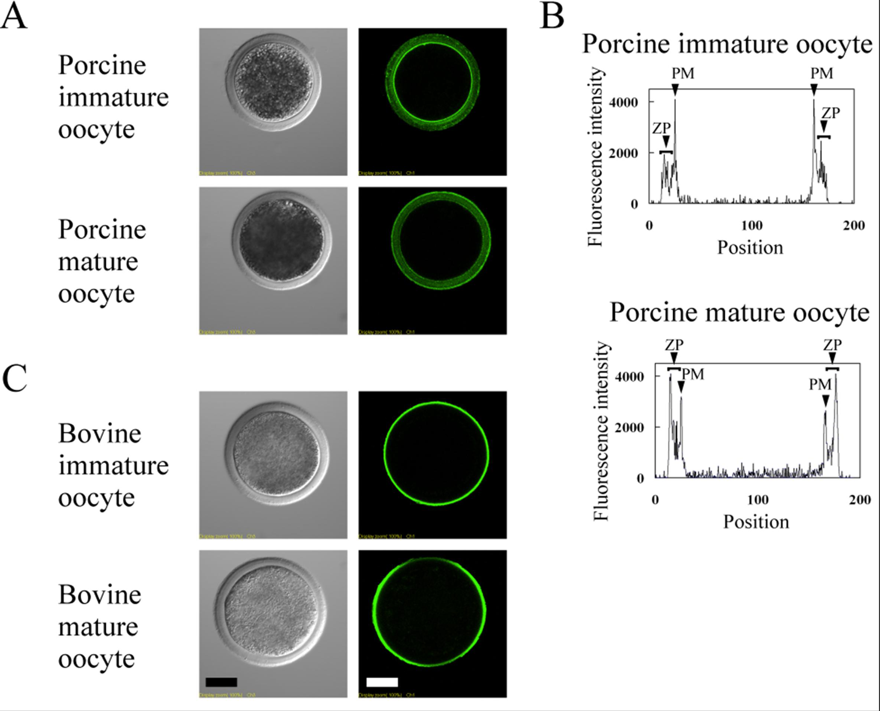 Biomolecules 03 00085 g005