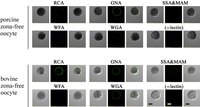 Biomolecules 03 00085 g008 200