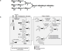 Biomolecules 03 00108 g001 200