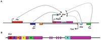 Biomolecules 03 00124 g001 200