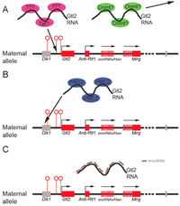 Biomolecules 03 00124 g003 200