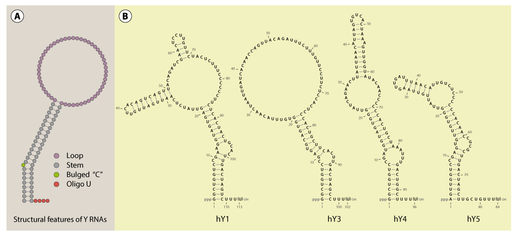 Biomolecules 03 00143 g001 1024