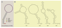 Biomolecules 03 00143 g001 200
