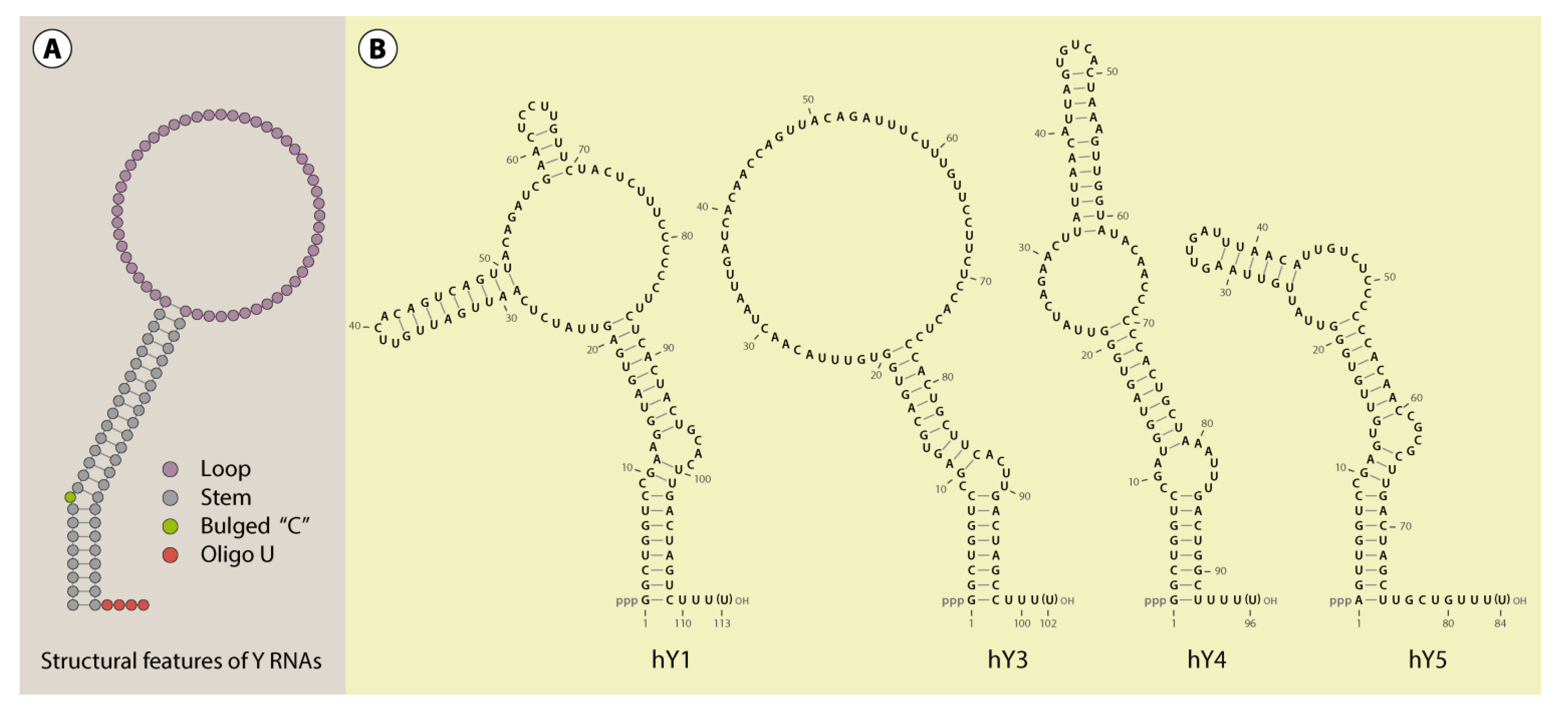 Biomolecules 03 00143 g001