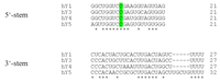 Biomolecules 03 00143 g002 200