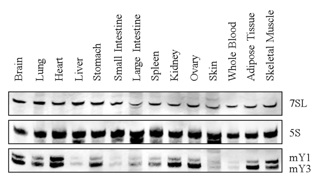 Biomolecules 03 00143 g003 1024