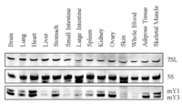 Biomolecules 03 00143 g003 200