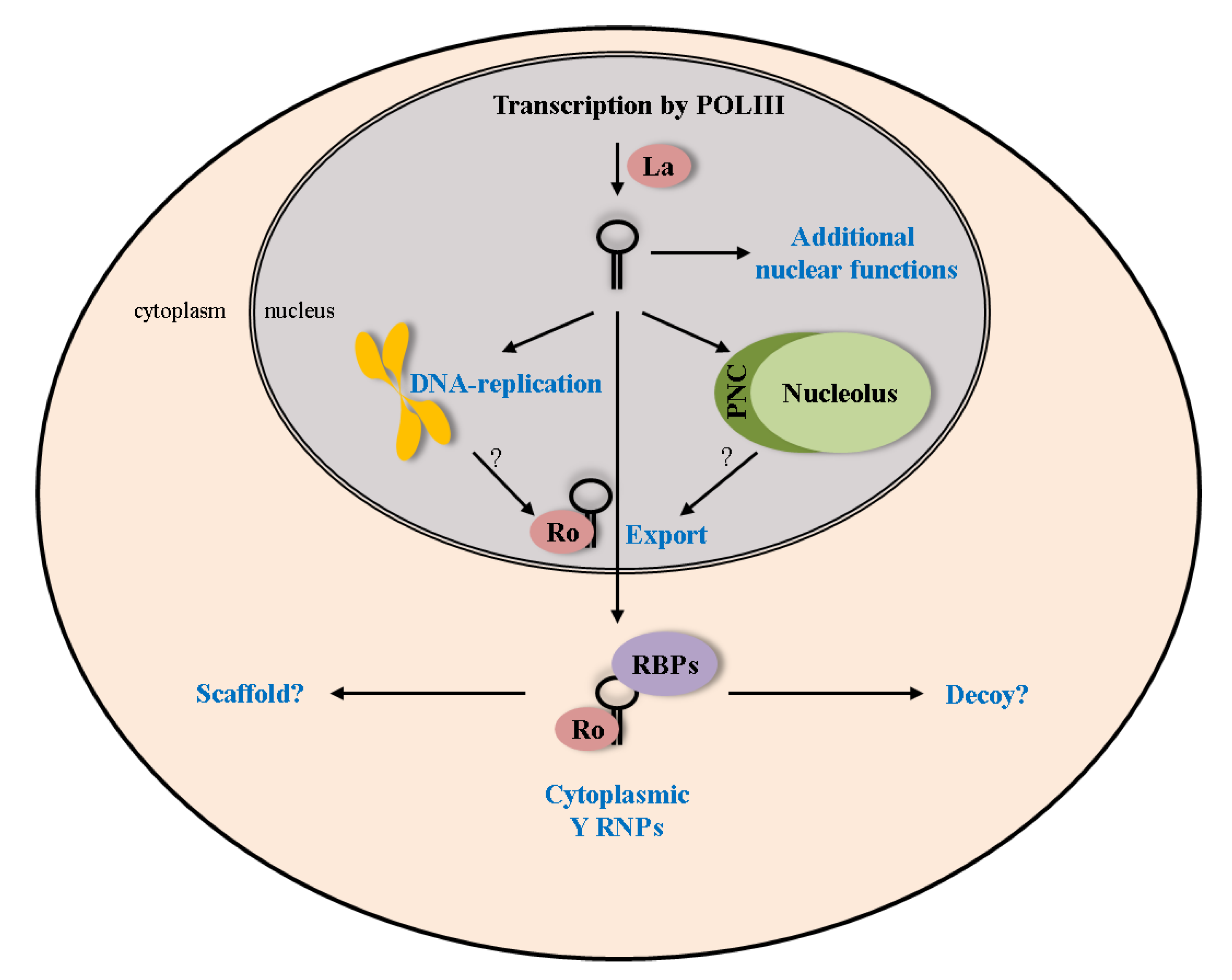 Biomolecules 03 00143 g004