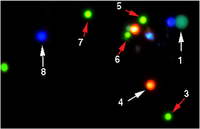 Biomolecules 03 00180 g001 200