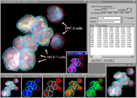 Biomolecules 03 00180 g003 200